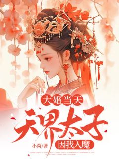 大婚当天，天界太子因我入魔