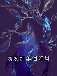 匆匆那年泪如风