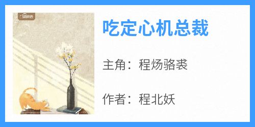 吃定心机总裁