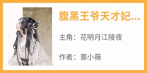 腹黑王爷天才妃花明月江陵夜