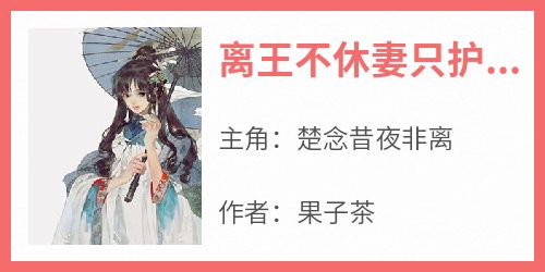 离王不休妻只护妻