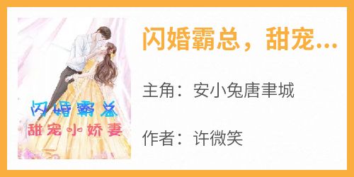 闪婚霸总，甜宠小娇妻