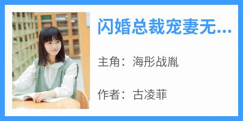 闪婚总裁宠妻无底线