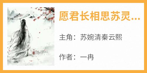 愿君长相思苏灵汐秦明玦