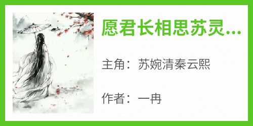 愿君长相思苏灵汐秦明玦