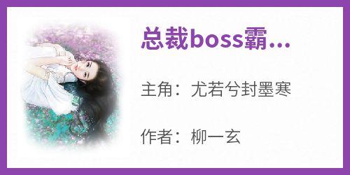 总裁boss霸宠妻