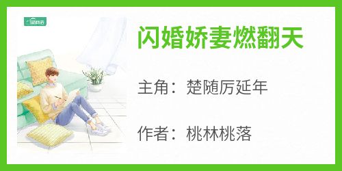 闪婚娇妻燃翻天