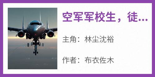 空军军校生，徒手造战斗机不过分吧