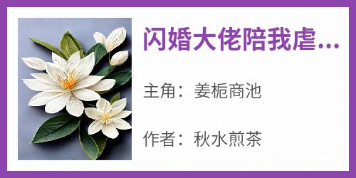 闪婚大佬陪我虐渣