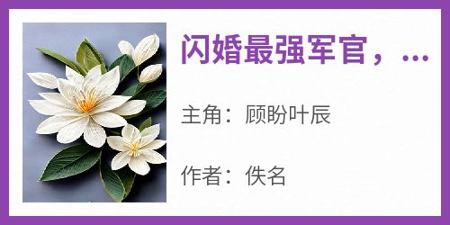 闪婚最强军官，海岛易孕一胎五宝