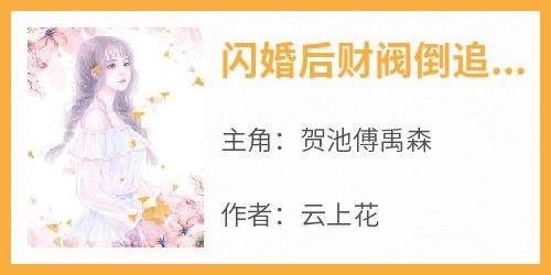 闪婚后财阀倒追小娇妻