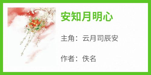 安知月明心