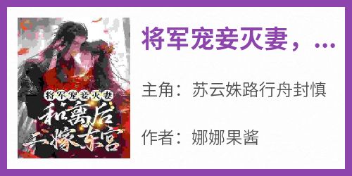 将军宠妾灭妻，和离后二嫁东宫