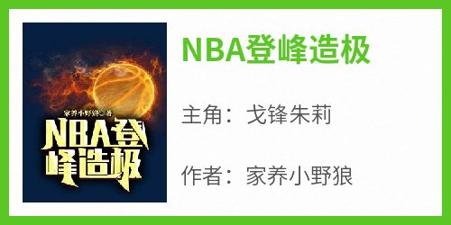 NBA登峰造极