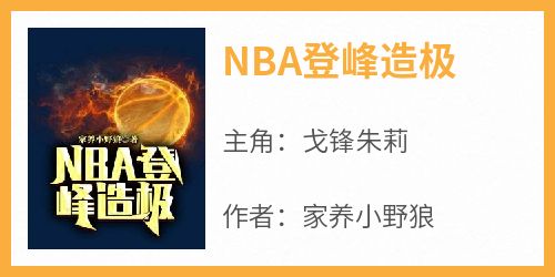 NBA登峰造极