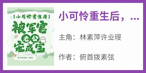 小可怜重生后，被军官老公宠成宝