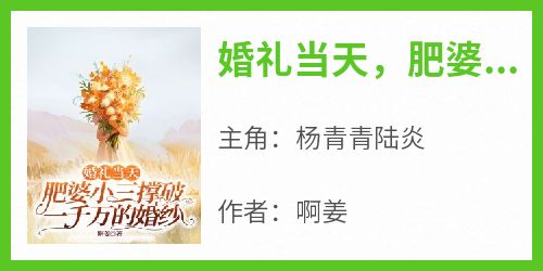 婚礼当天，肥婆小三撑破一千万的婚纱