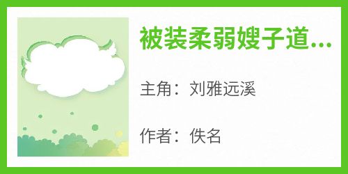 被装柔弱嫂子道德绑架后，我不要道德了