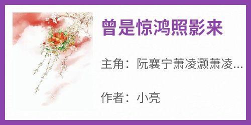 曾是惊鸿照影来