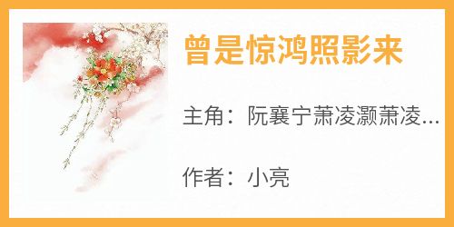 曾是惊鸿照影来