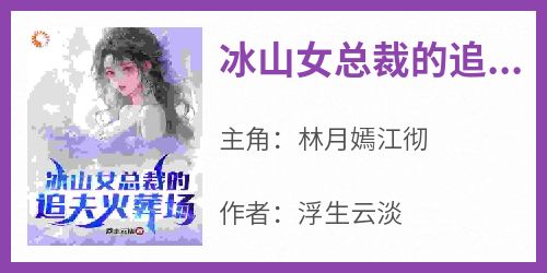 冰山女总裁的追夫火葬场