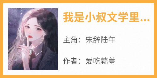 我是小叔文学里的小婶婶