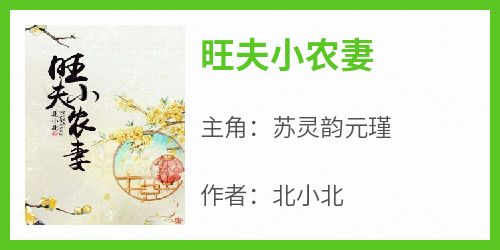 旺夫小农妻