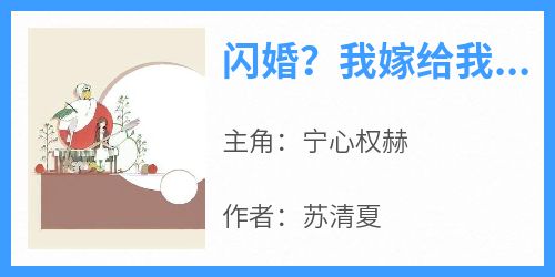 闪婚？我嫁给我的顶头上司了