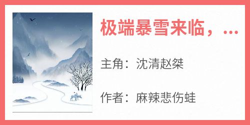 极端暴雪来临，我直接抛夫弃子