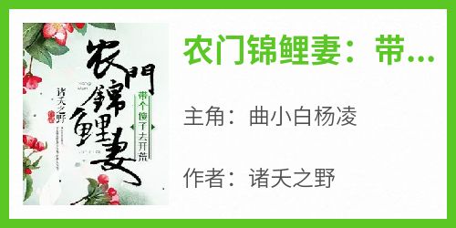 农门锦鲤妻：带个傻子去开荒