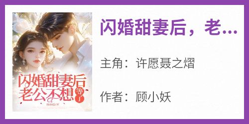 闪婚甜妻后，老公不想等了