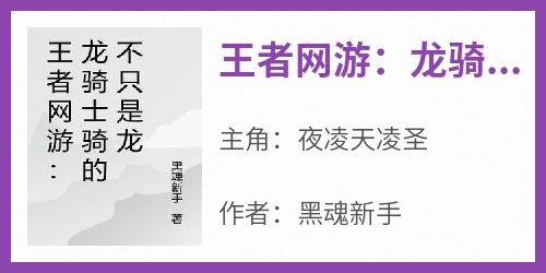 王者网游：龙骑士骑的不只是龙