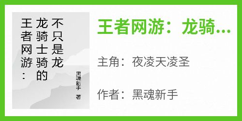 王者网游：龙骑士骑的不只是龙