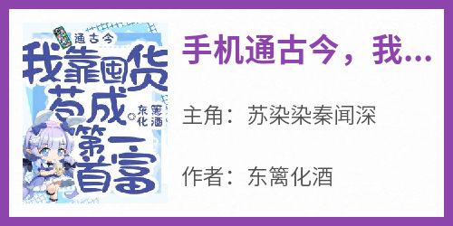 手机通古今，我靠囤货苟成第一首富