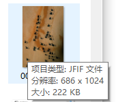 图片[1] - 浏览器右键保存图片，JPG 格式变成了.jfif 怎么修改？ - 尘心网