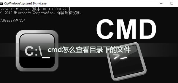 图片[1] - cmd查看文件内容命令（cmd命令检索所有文件） - 尘心网